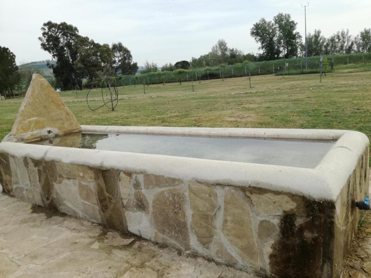 Farm stay Palazzo Piccolo *